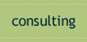 Consulting Services